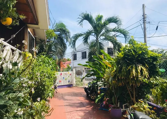 Villa acacias tree